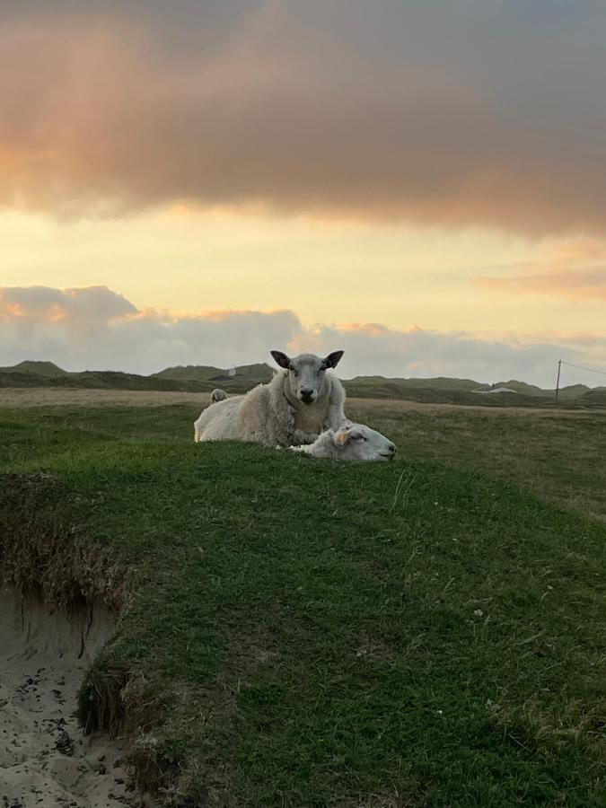 Fresh Hytte Ved Borestranden Med To Soverom Og Hems Klepp Buitenkant foto
